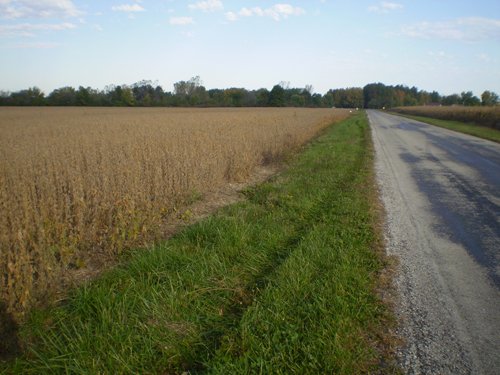 Property photo 8 - 75+/- Acres in 9 Tracts